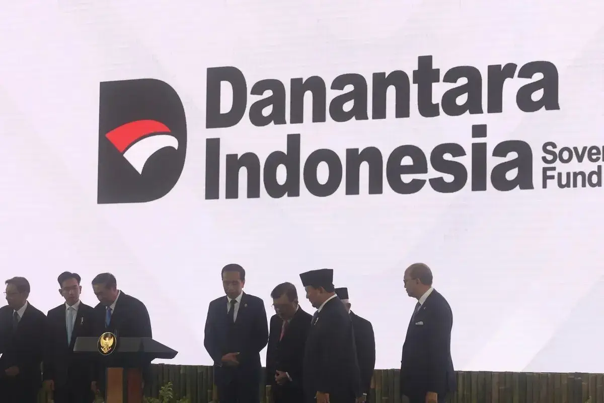 Danantara investasi nasional